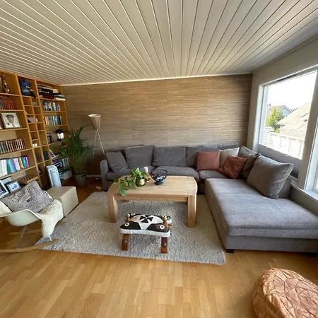 빌라 For Rent During Ons Week 10 Min Walk From Expo Area And 50 Metre From Bus Station To Center